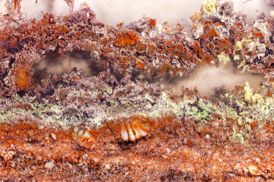 Java Moss Agate Detail  