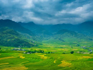 Fototapeten Reisfelder Rice terrace Field Green agriculture rainny season dark cloud amazing landscape. Sustainable Ecosystem rice paddy field Vietnam green nature farm land. Golden green rice terraces tropical landscape  © aFotostock