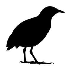 静かに佇む小鳥シルエット