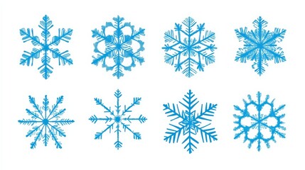 Fototapeta premium Collection of Detailed Snowflake Illustrations