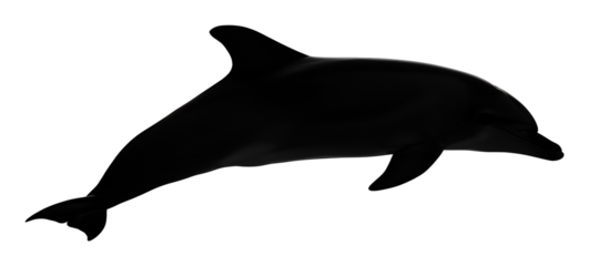 優雅に泳ぐイルカシルエット