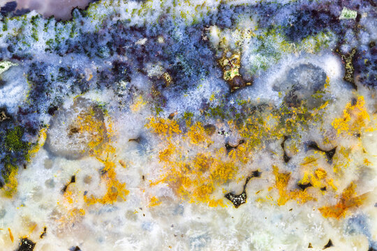 Multicolour Opal Wood Macro  