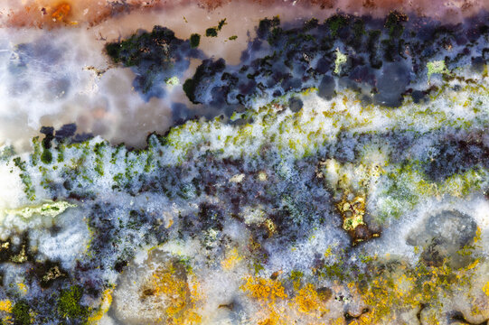 Opal Wood Multicolor Background  