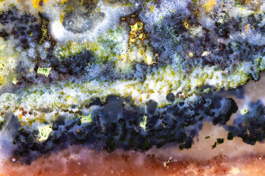 Opal Wood Multicolor Macro  