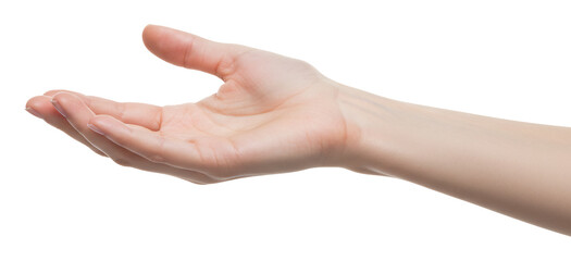 優しく開かれた女性の手のひら