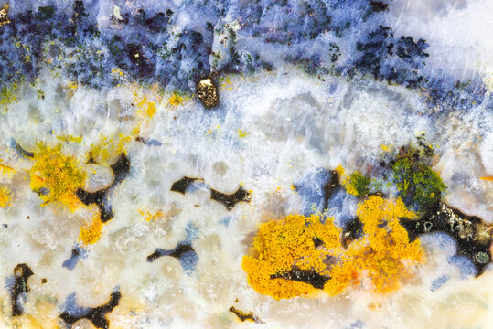 Opal Wood Multicolor Patterns  