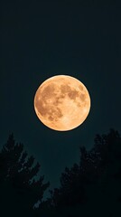 Fototapeta premium Huge orange full moon rising over dark trees at night.