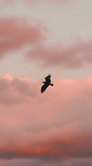 Fototapeta na wymiar Silhouette of a bird soaring through a vibrant pink sunset sky.