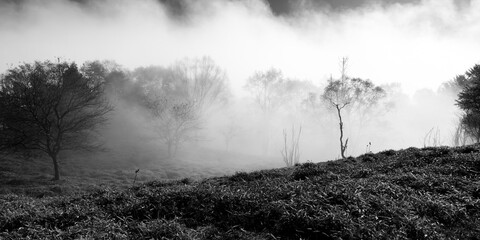 山梨県甲州市　秋の大菩薩嶺