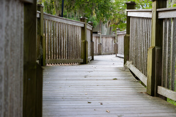 Wooden boardwalk