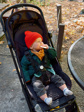 Baby in stroller