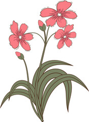 Hand-Drawn Wildflower Illustration – Colorful Floral Botanical Art