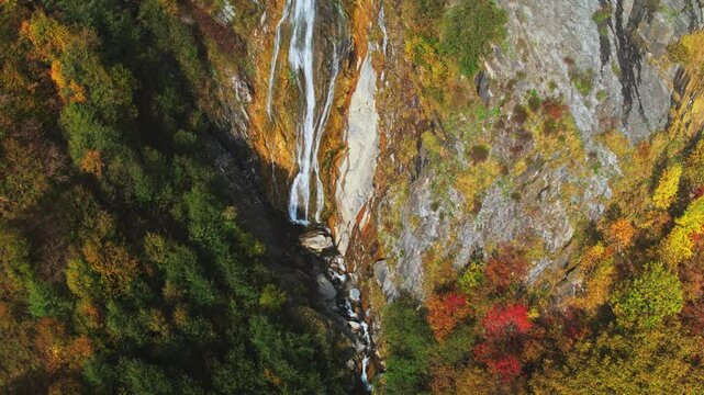Aerial scenic waterfall in colourful fall forest, autumn hiking in caucasus mountains, aerial drone shot of a waterfall in autumn woods. Near Kazbegi and Gudauri area. coloured high quality 4k footage