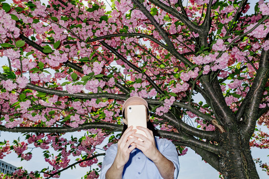 A girl smiling and takes a selfie near a cherry blossom