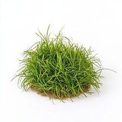 Isolated patch of lush vibrant green soccer grass on white background representing freshness and nature