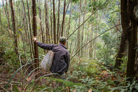 farmer in woods