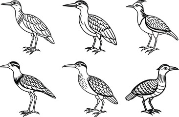 Naklejka premium Various Bird Line Art Illustration Collection.