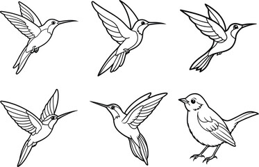 Obraz premium Various Bird Line Art Illustration Collection.