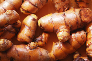 Fresh turmeric root displayed in natural light on a wooden surface