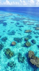 Fototapeta premium Stunning underwater view of the great barrier reef in belize showcasing vibrant coral reefs through crystal clear water