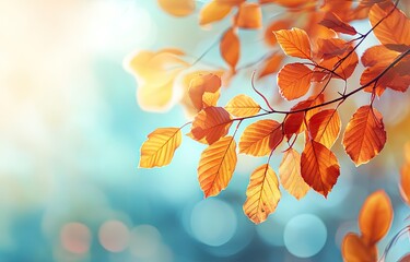 Autumn leaves bathed in sunlight.  Delicate, fiery-hued foliage against a soft, teal-toned background