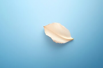 Minimalist pale petal on light blue backdrop for elegant and serene design element