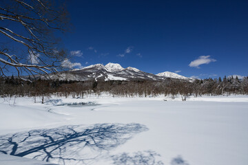 快晴の冬 一面雪景色の妙高高原...