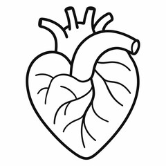 human heart vector icon. symbol of human heart.