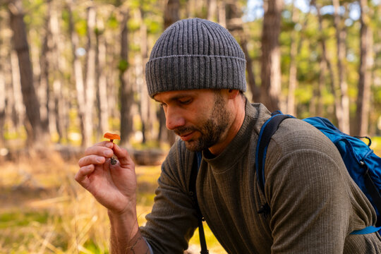 Picking wild mushrooms in forest
