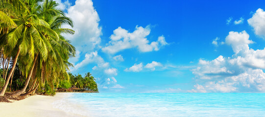 Sea beach landscape panorama, paradise tropical island, exotic nature background, turquoise ocean water, green coconut palm tree leaves, white sand, hot sunny day, summer holidays, vacation, travel