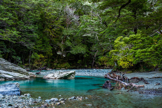 Turquoise river surrounded by Rainforest
