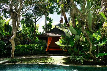 Serene Garden Oasis Amidst Greenery