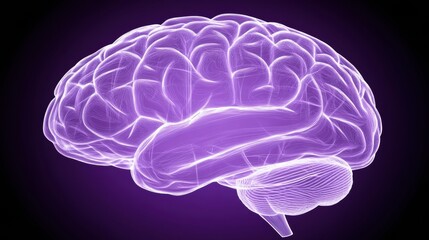 Glowing Purple Human Brain Digital Rendering