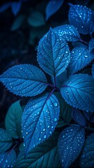 Frost blankets the green mint leaves of a garden herb, a closeup of winter's touch on spring foliage