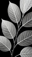 Seamless floral pattern with black and white leaves creates a natural texture for wallpaper decoration