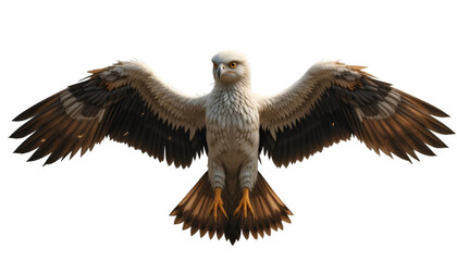 Obraz premium Realistic bird wings, spread and floating, highly detailed feathers. 