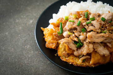 stir-fried pork with garlic and egg topped on rice