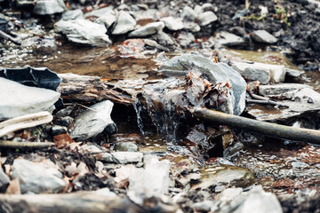 Fototapeta premium A stream of water is flowing through a rocky area