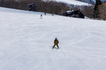 Skier on a gentle ski slope on sunny day