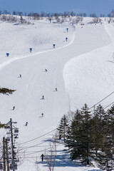 Snowboarders descending a groomed, wide ski slope from a mountain top on sunny day. Tsugaike, Hakuba