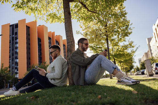 Gay couple using smartphones under a tree with cityscape background