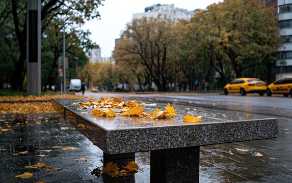 Wet granite bench with yellow autumn leaves, city street background, rainy day.  Grey and yellow tones, shallow depth of field