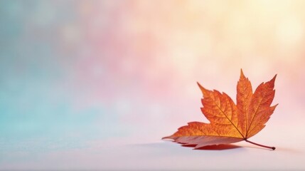 A Single Autumn Leaf Resting on a Soft, Pastel Surface, a Symbol of Seasonal Change and Tranquility