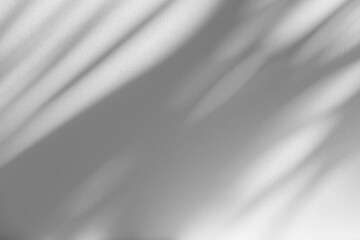 Wall interior background, studio and backdrops show products.with shadow from window color white and grey. background for text insertion and presentation product	