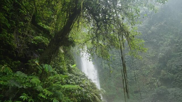 Nungnung waterfall Air Terjun Nungnung in the breathtaking northern region of Bali, Indonesia surrounded by forests and one of the tallest