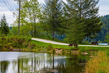 Forest  Lake in Nature Park covered with water plants,  bench for rest on the shore,  green forest and cloudy sky 