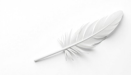 Isolated white feathers against a pristine white background, wing, natural
