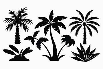 Silhouettes of palm trees on a tropical beach at sunset