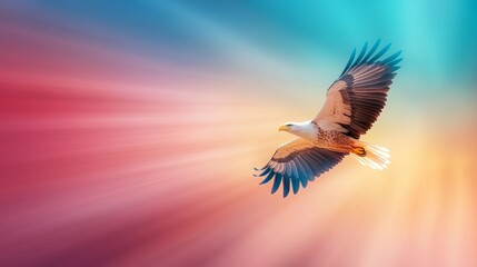 Fototapeta premium Majestic eagle soaring through vibrant sky with radiant colors