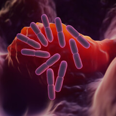 Lactobacillus bacteria are a genus of Gram-positive, rod-shaped, facultative anaerobic bacteria